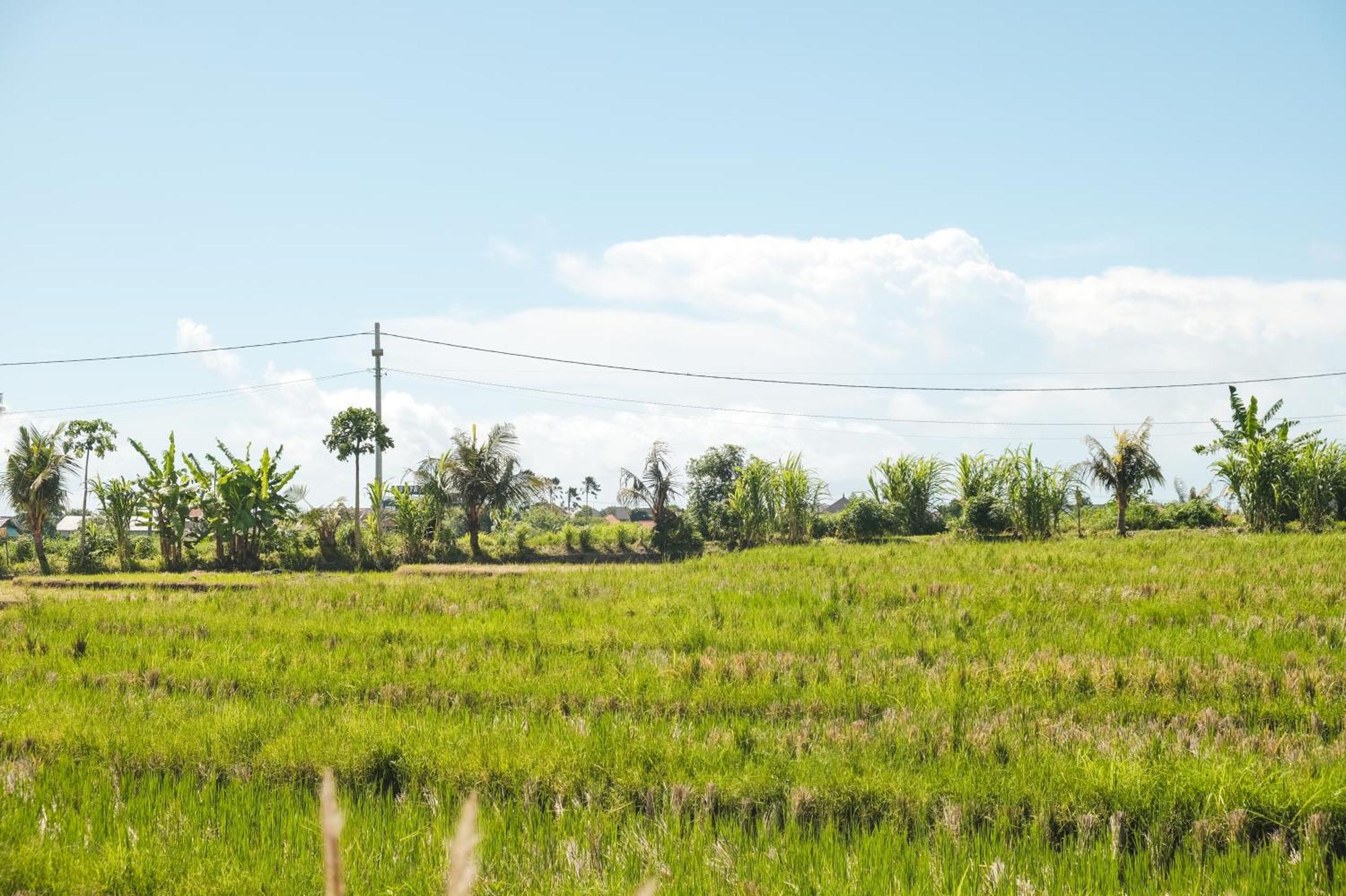 Padi Villa Canggu Esterno foto